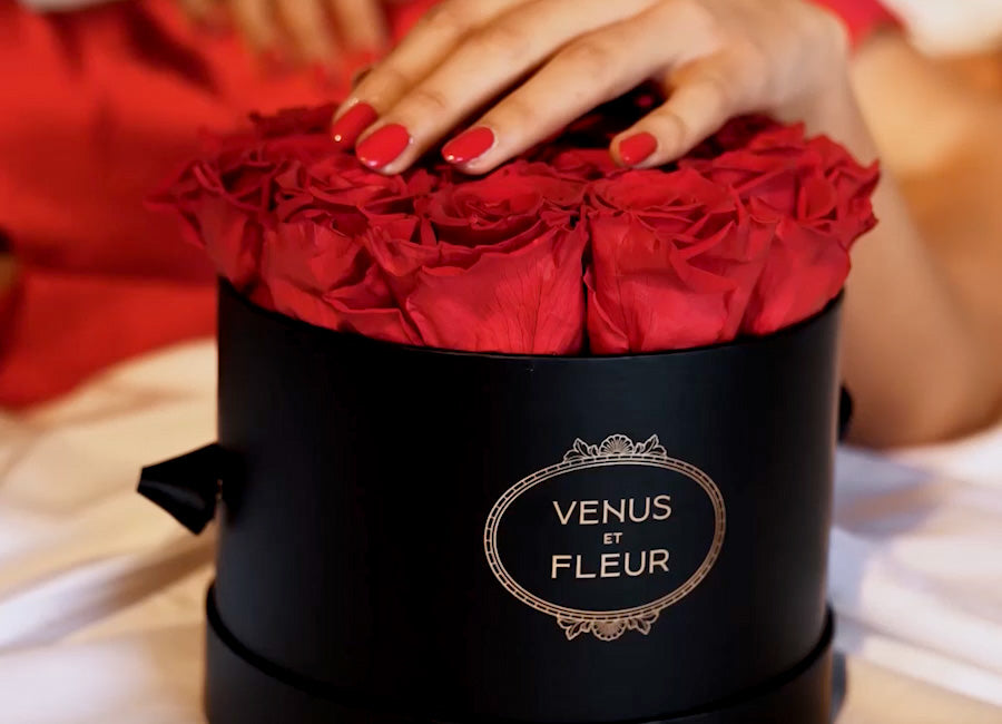 Venus et Fleur - Our luminous Classic Bundle Set is back in stock
