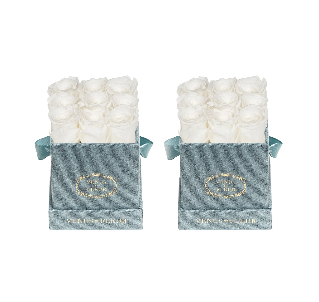 Le Mini Square, Dusty Blue Suede, Pure White, Pack of 2 Minis, Venus et Fleur