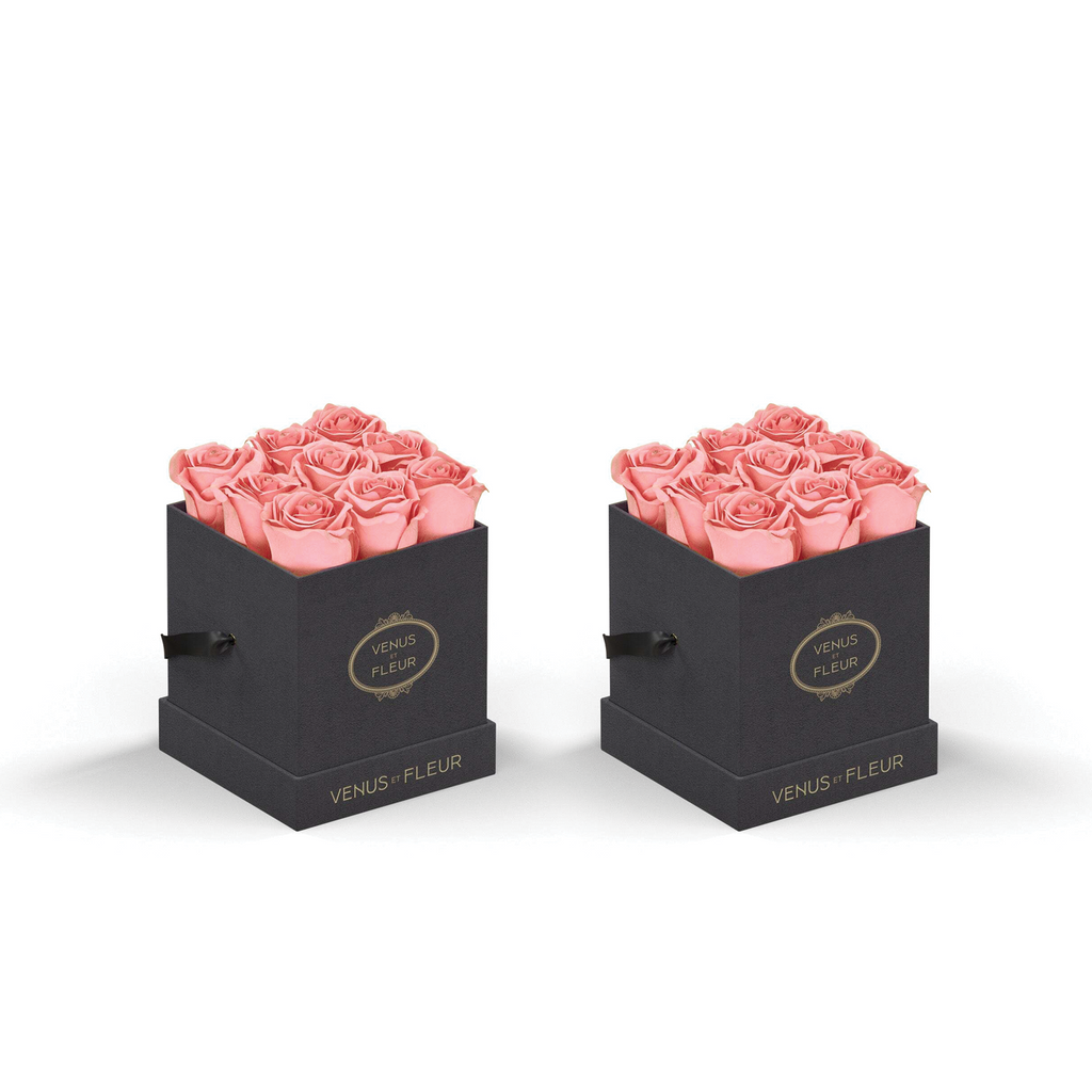 Le Mini Square, Grey Suede, Conch Pink, Pack of 2 Minis, Venus et Fleur