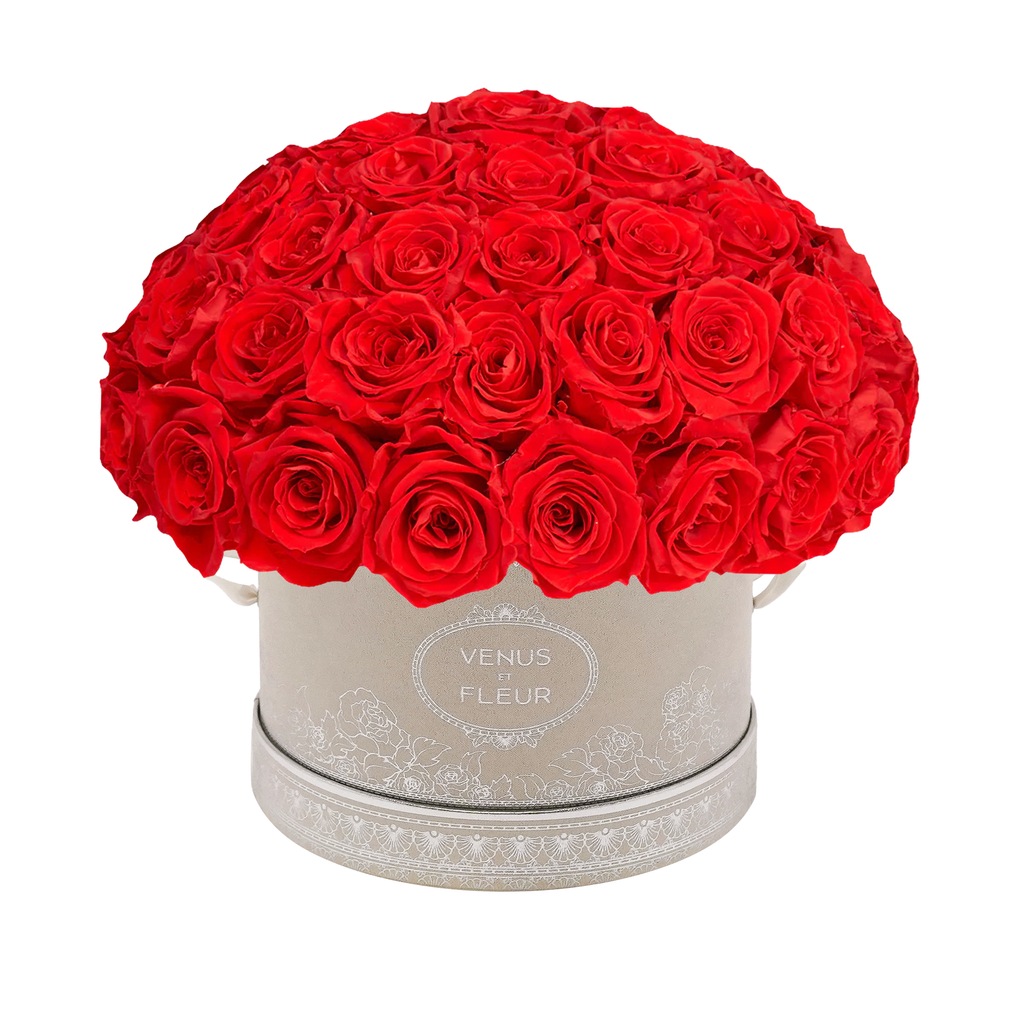 Small Le Plein, Winter Suede, Red, 45-49 Eternity Roses, Venus et Fleur