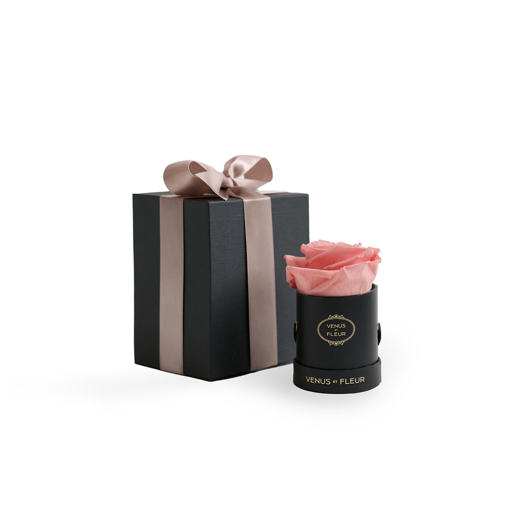 Le Mini Round, Black Classic, Conch Pink, 1 Eternity Rose, Venus et Fleur