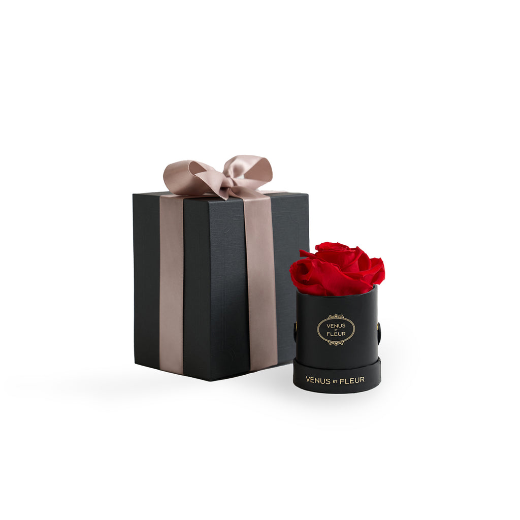 Le Mini Round, Black Classic, Red, 1 Eternity Rose, Venus et Fleur