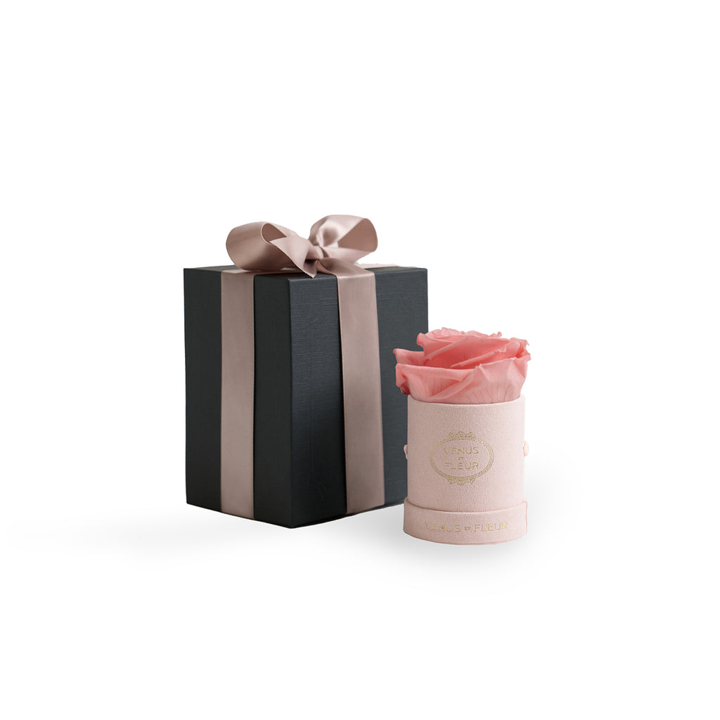 Le Mini Round, Blush Suede, Conch Pink, 1 Eternity Rose, Venus et Fleur