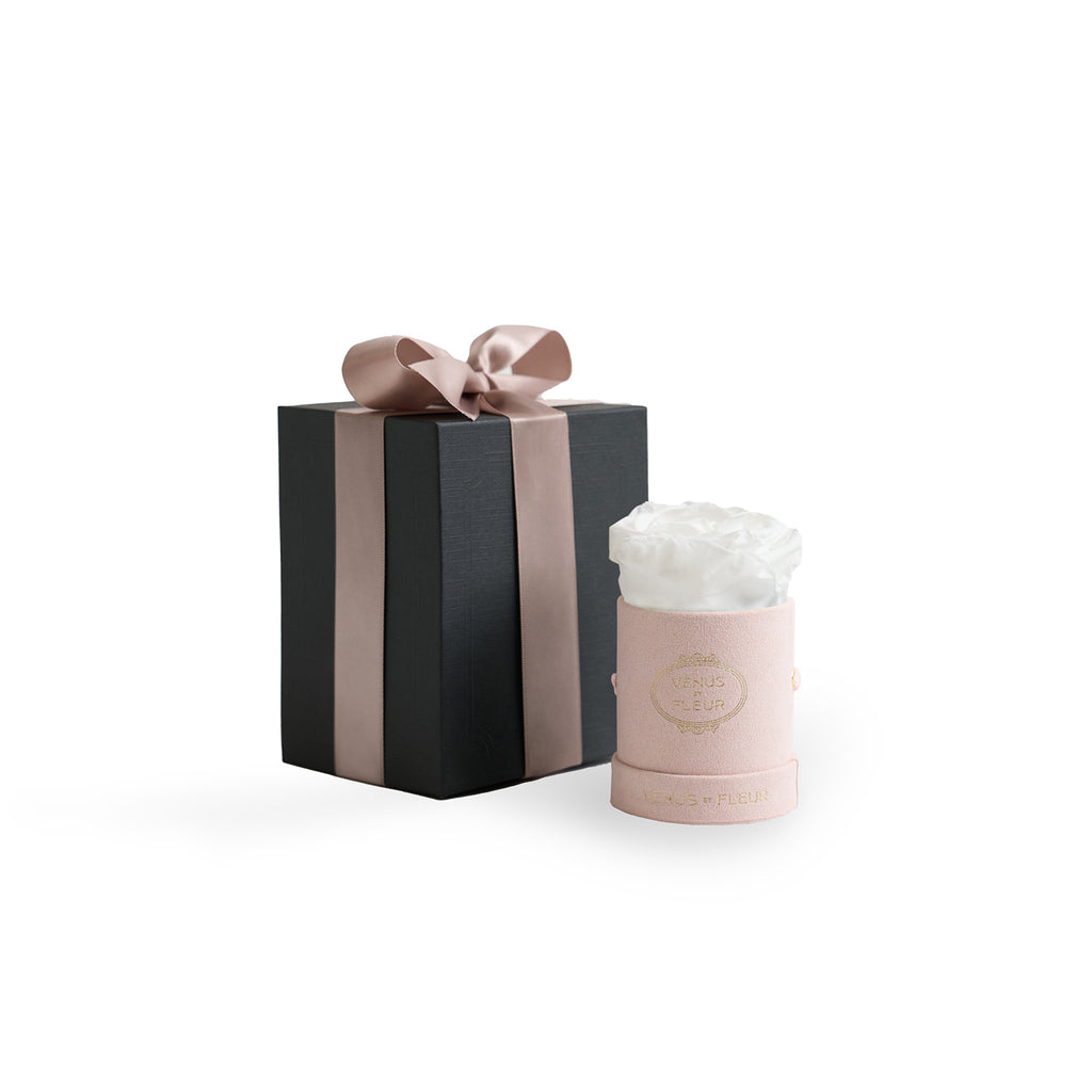 Le Mini Round, Blush Suede, Pure White, 1 Eternity Rose, Venus et Fleur