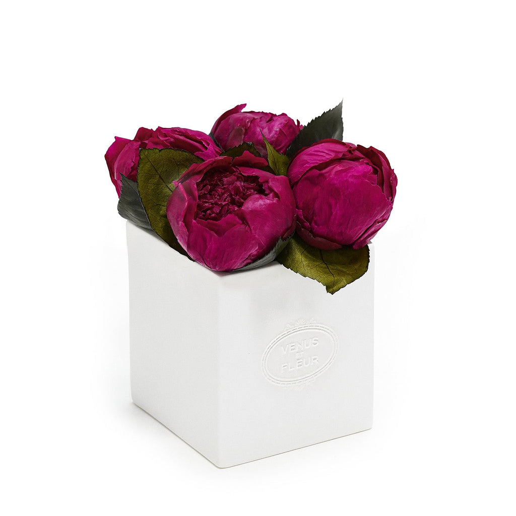 Sylvie Porcelain Vase, Peonies, Magenta Moon, Eternity Peonies, Venus et Fleur