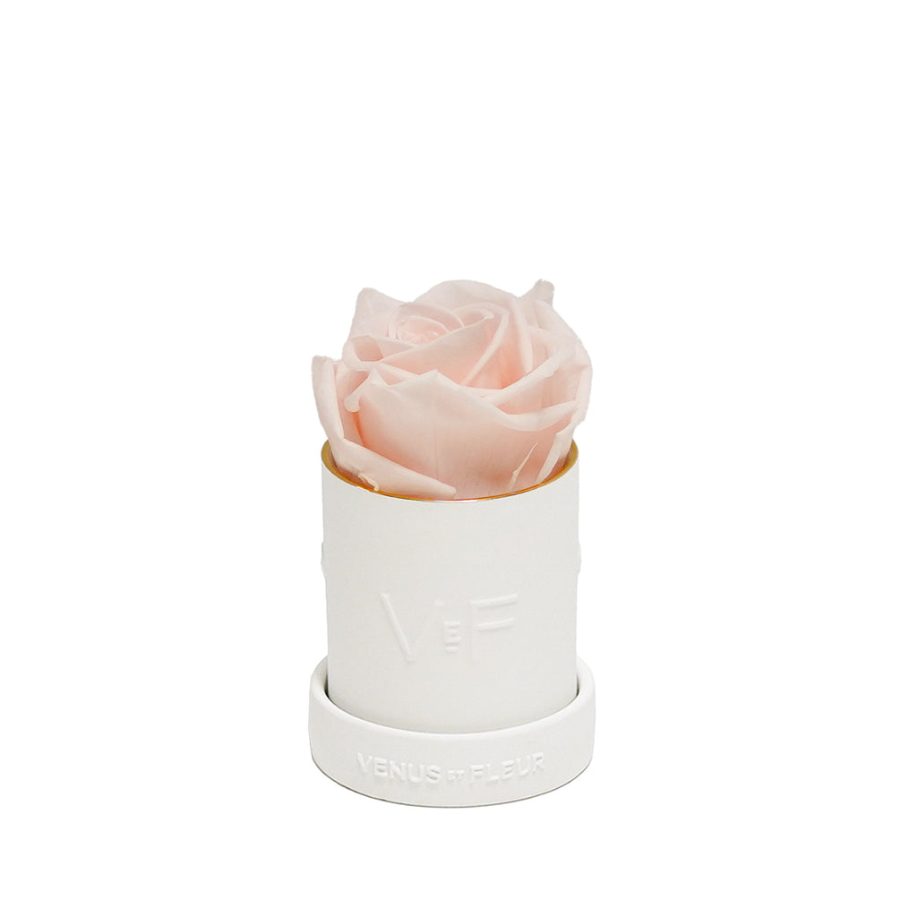 Le Mini Round Porcelain Vase, Porcelain, Blush, 1 Eternity Rose, Venus et Fleur