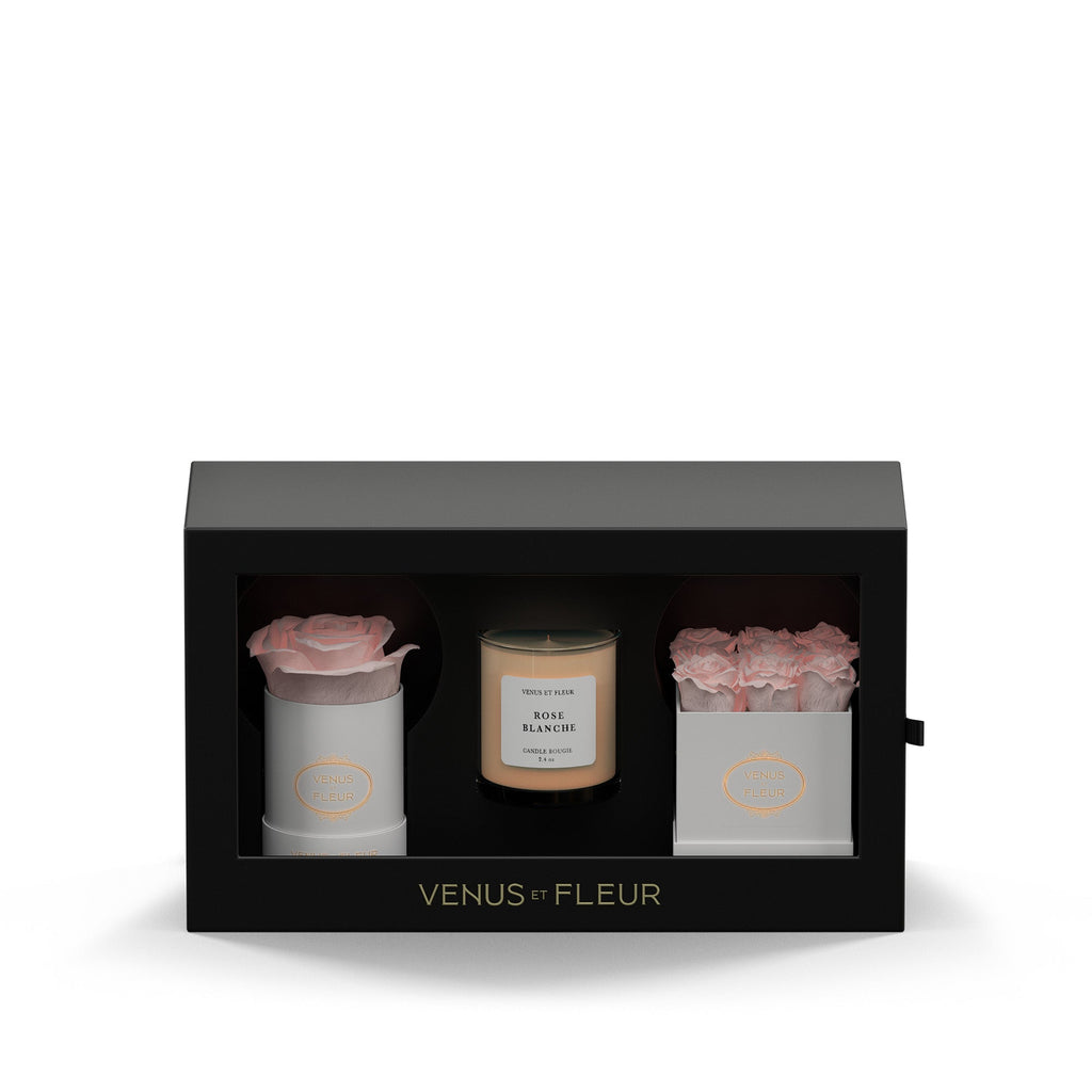 The Classic Bundle, White Classic, Blush, Rose Blanche, 3.75 × 10 × 5.75 inches, Venus et Fleur