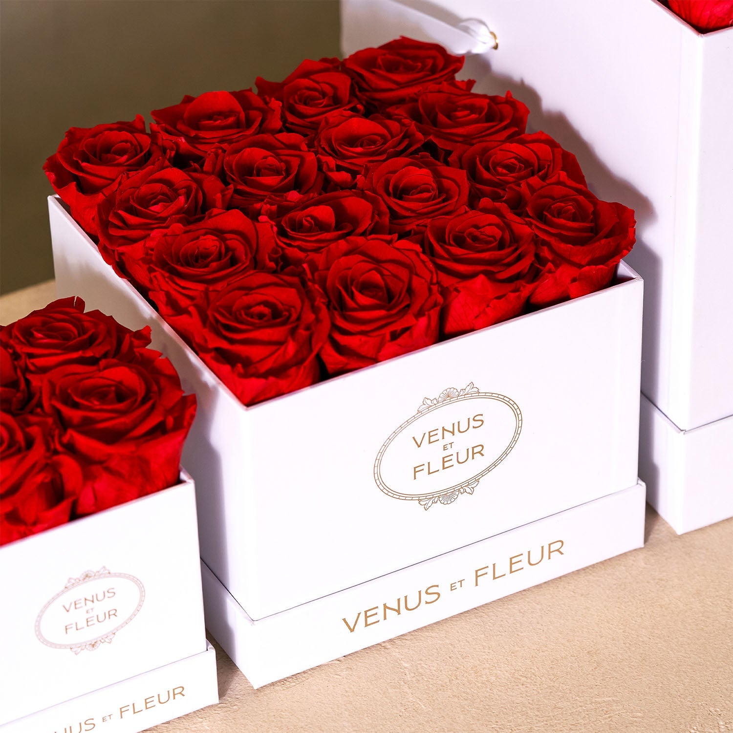 Luxury Roses, Customized Gifts & Flower Arrangements - Venus et Fleur