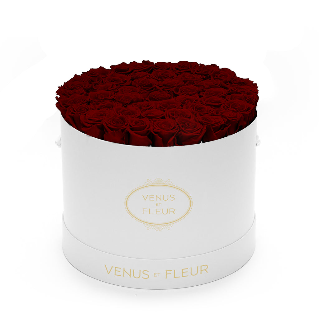 Large Round, White Classic, Burgundy, 42-49 Eternity Roses, Venus et Fleur