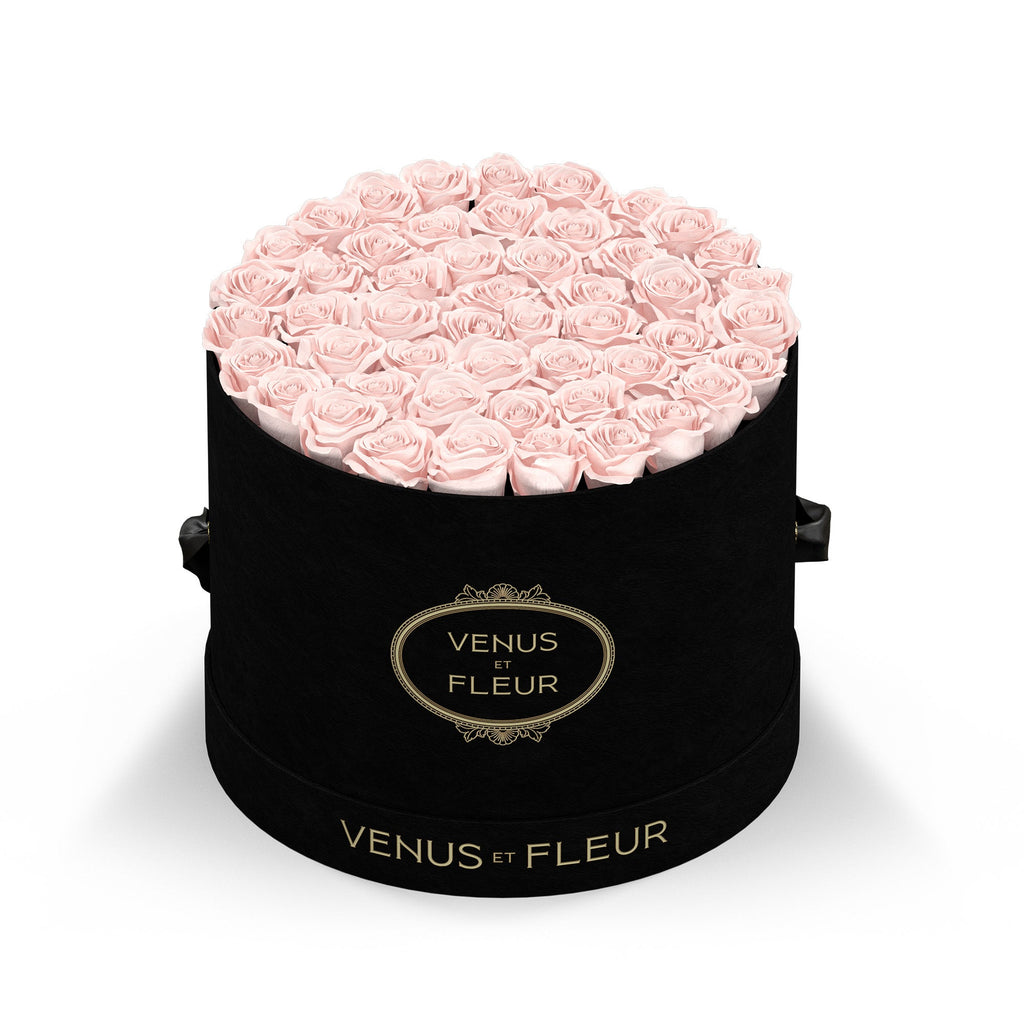 Large Round, Black Suede, Blush, 42-49 Eternity Roses, Venus et Fleur