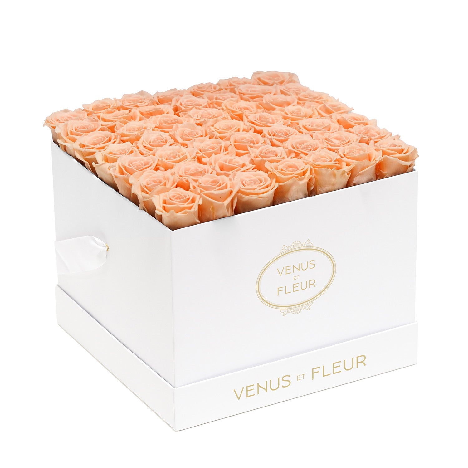 Store Venus et fleur eternity roses large square