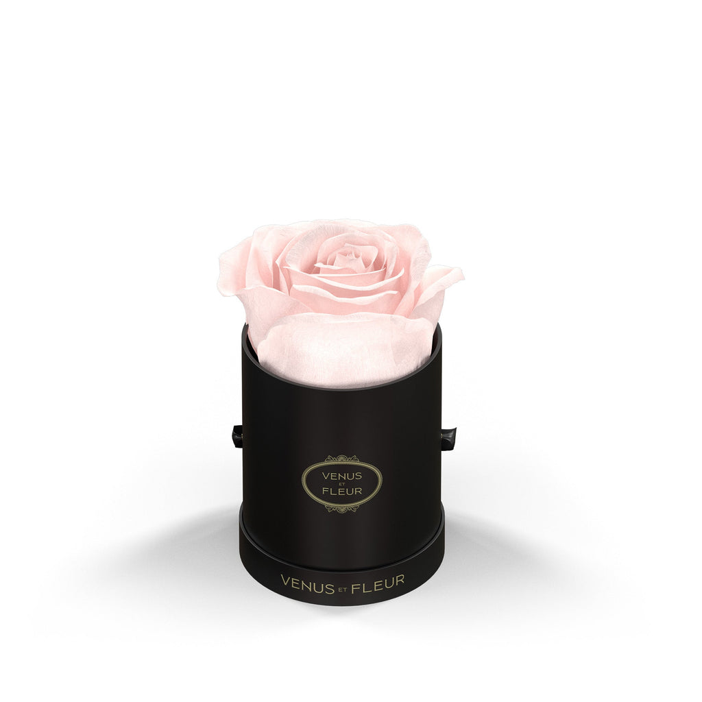 Le Mini Round, Black Classic, Blush, 1 Eternity Rose, Venus et Fleur