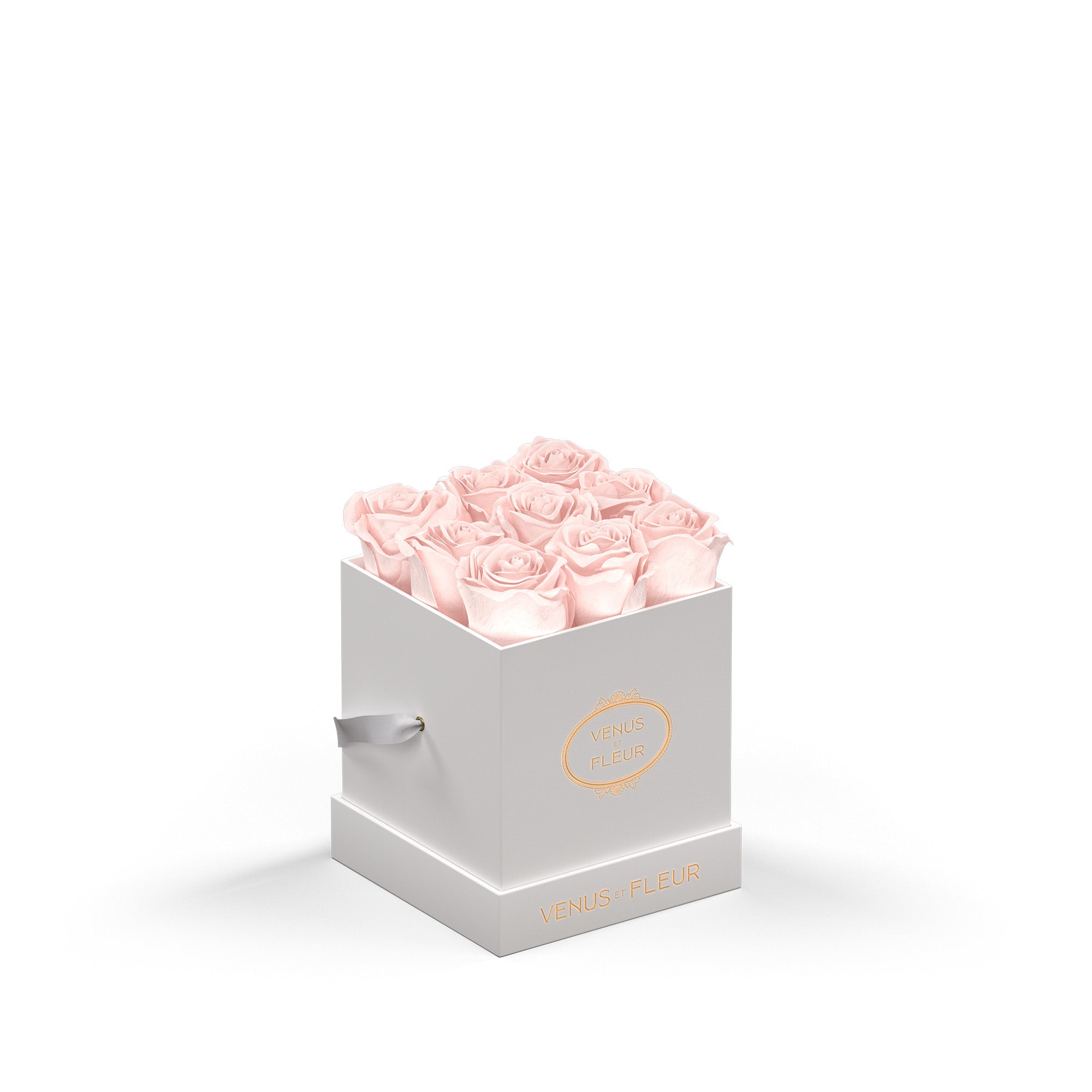 Le Petit - White Classic with Eternity Roses – Venus et Fleur