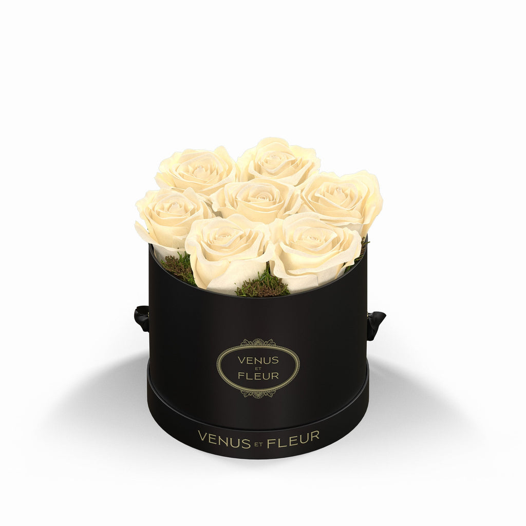 Le Petit Round, Black Classic, Pearl, 7 Eternity Roses and Moss, Venus et Fleur