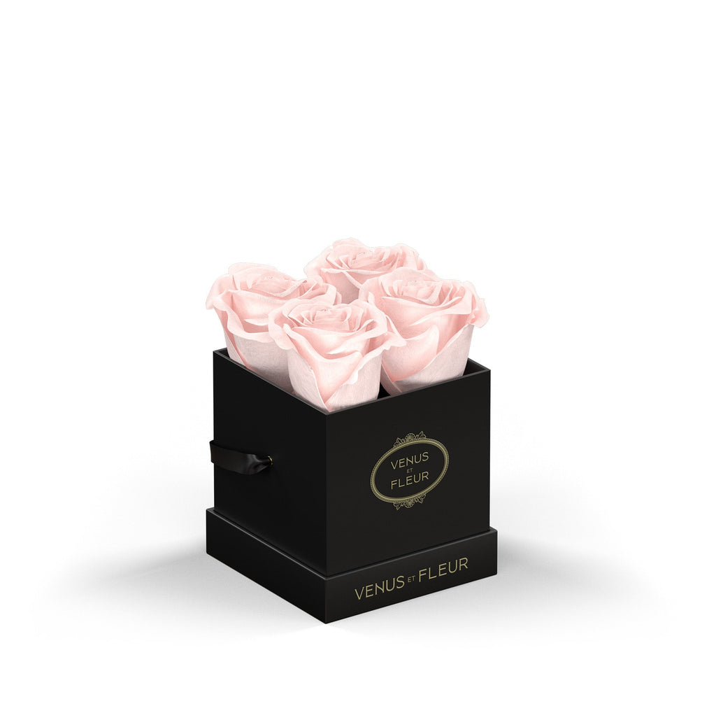 Le Petit, Black Classic, Blush, 4 Eternity Roses, Venus et Fleur