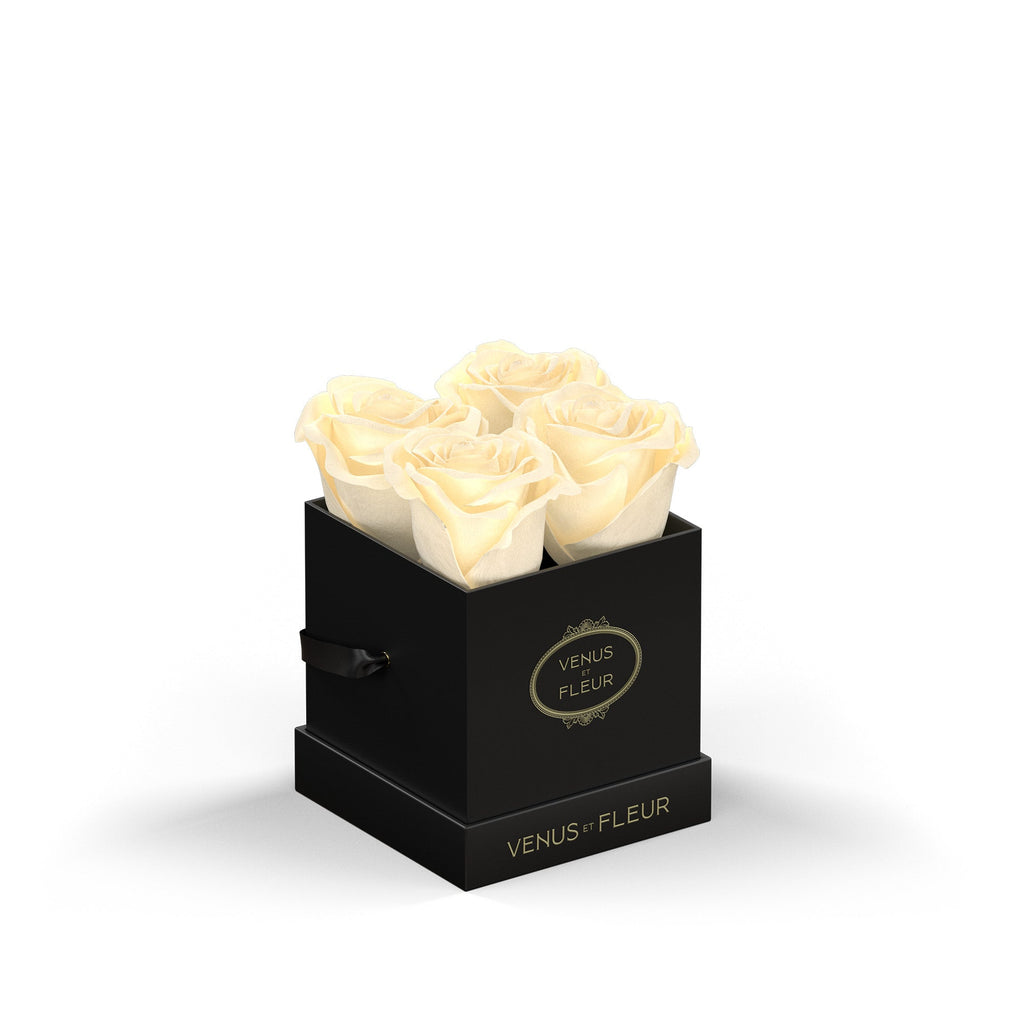 Le Petit, Black Classic, Pearl, 4 Eternity Roses, Venus et Fleur