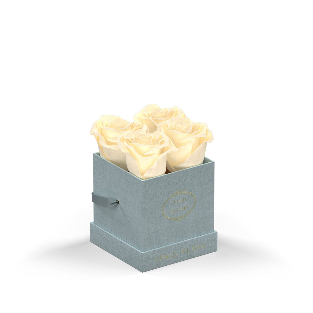 Le Petit, Dusty Blue Suede, Pearl, 4 Eternity Roses, Venus et Fleur