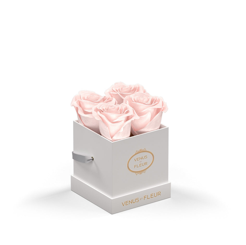 Le Petit, White Classic, Blush, 4 Eternity Roses, Venus et Fleur