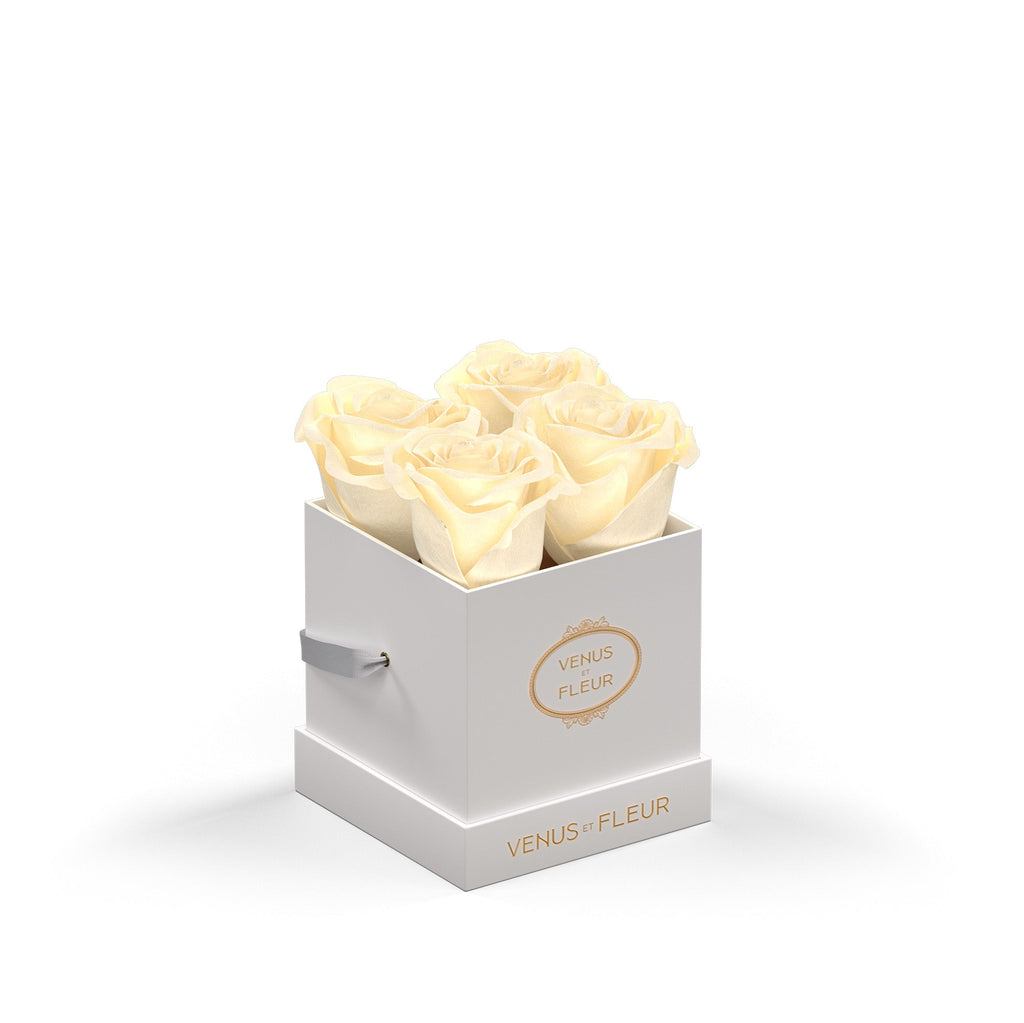 Le Petit, White Classic, Pearl, 4 Eternity Roses, Venus et Fleur