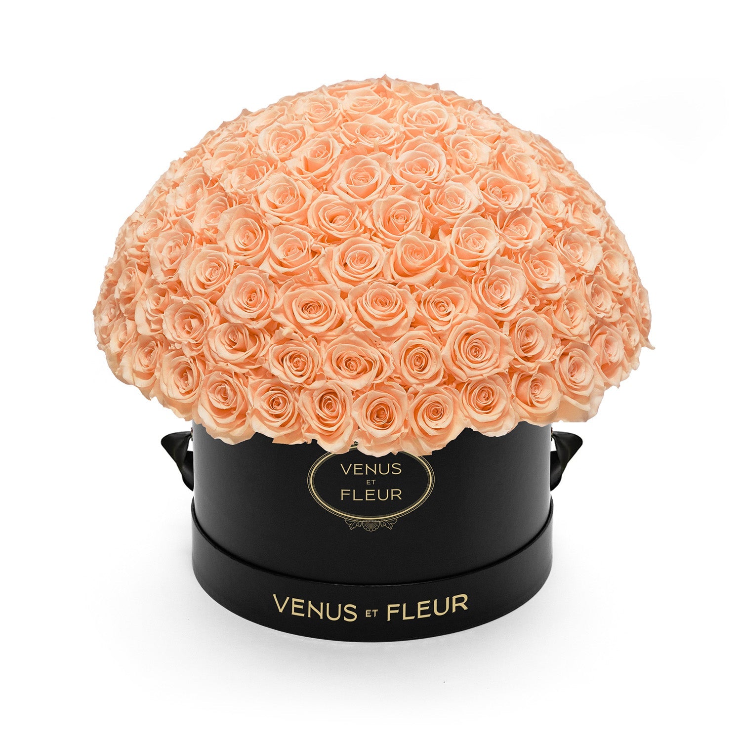 Venus ET Fleur boxed orange roses.set sold of 16