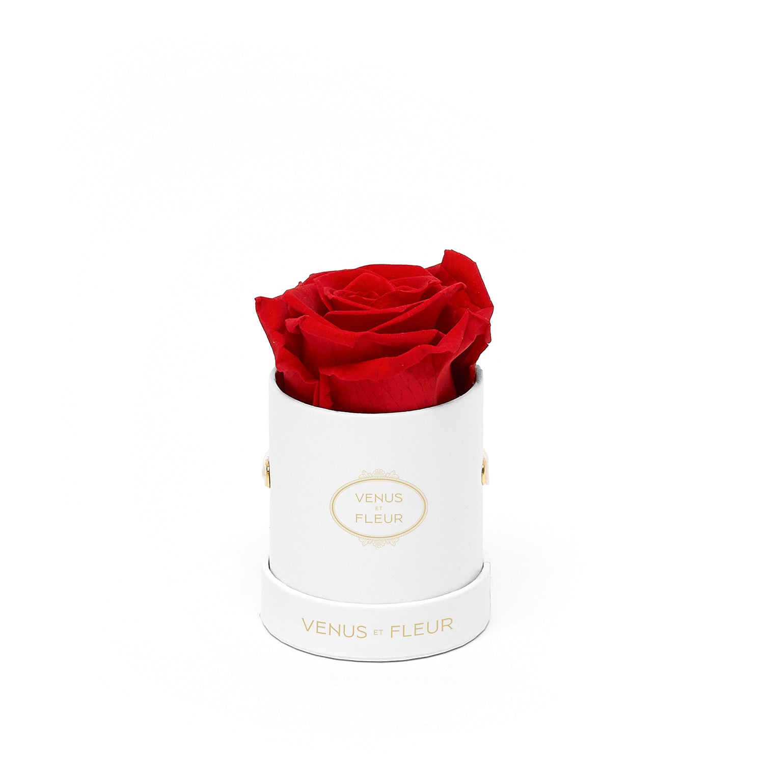 Respuesta a @Laurely isambert #parati #rosaseternas, Eternal Roses  Materials