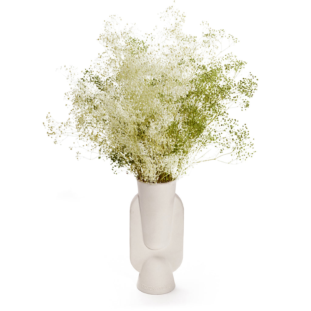 Moderne Porcelain Vase, Moderne, Velvet Sage, Eternity Baby's Breath, Venus et Fleur