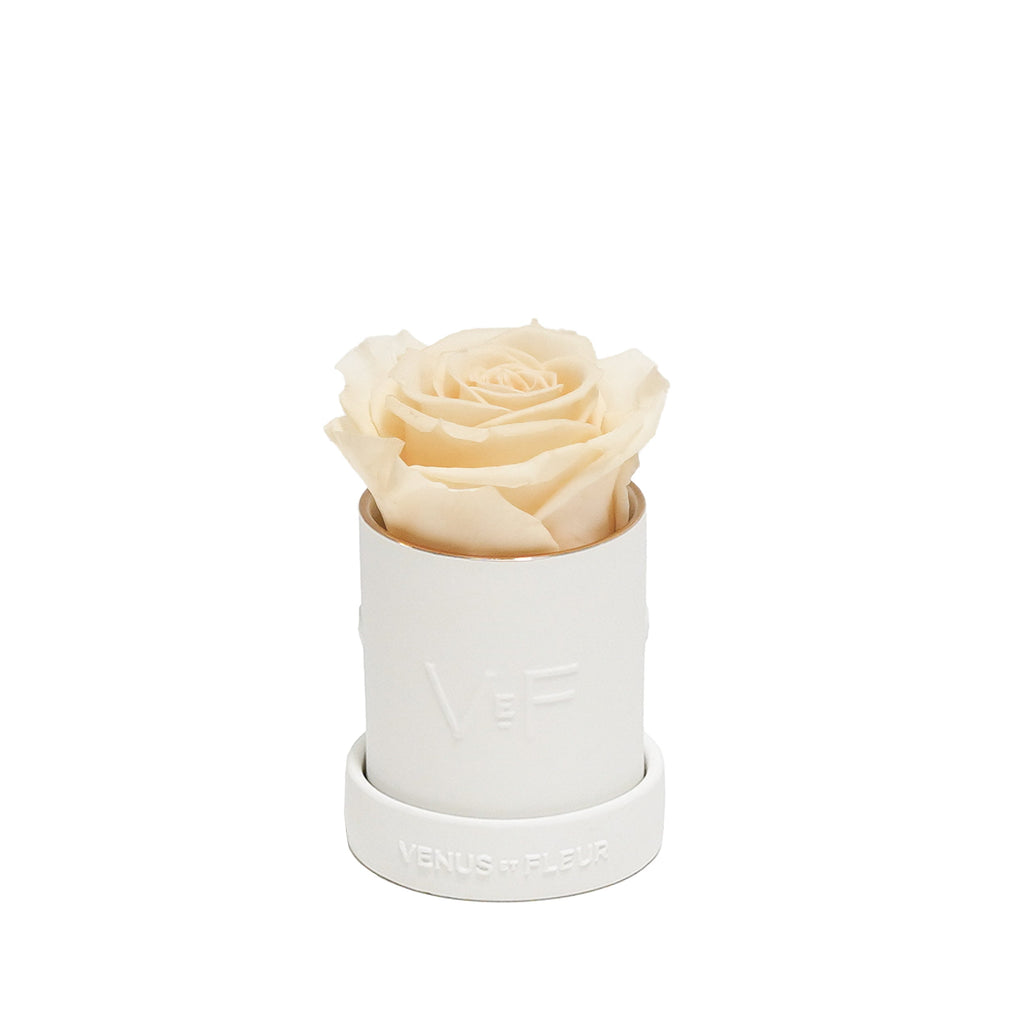 Le Mini Round Porcelain Vase, Porcelain, Pearl, 1 Eternity Rose, Venus et Fleur