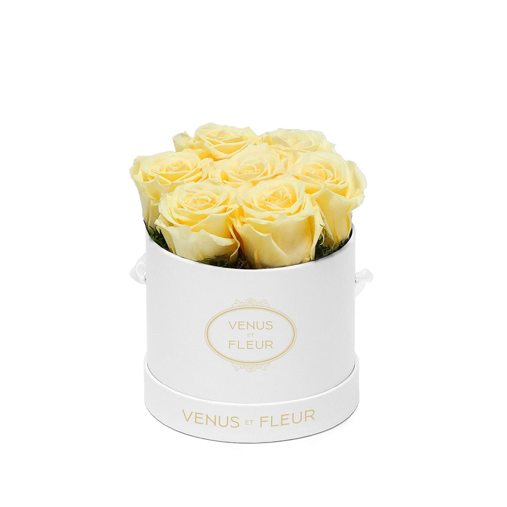 Le Petit Round, White Classic, Buttermilk Yellow, 7 Eternity Roses and Moss, Venus et Fleur