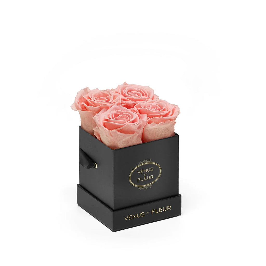 Le Petit, Black Classic, Conch Pink, 4 Eternity Roses, Venus et Fleur