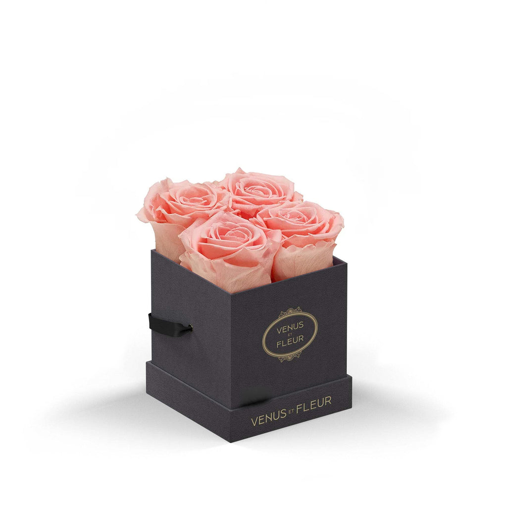 Le Petit, Grey Suede, Conch Pink, 4 Eternity Roses, Venus et Fleur