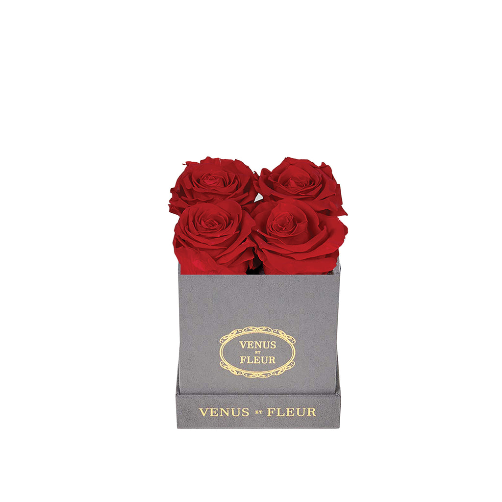 Le Petit, Grey Suede, Red, 4 Eternity Roses, Venus et Fleur