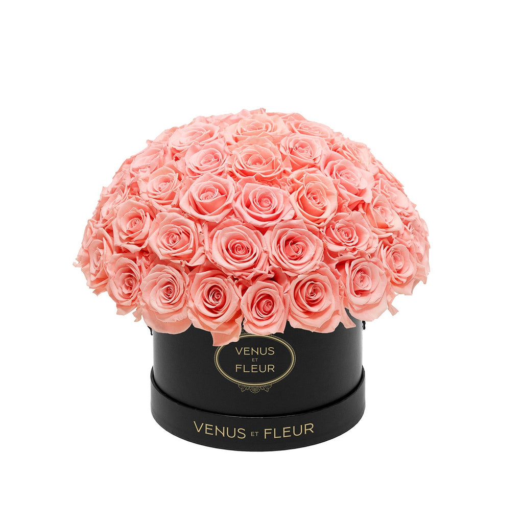 Small Le Plein, Black Classic, Conch Pink, 45-49 Eternity Roses, Venus et Fleur