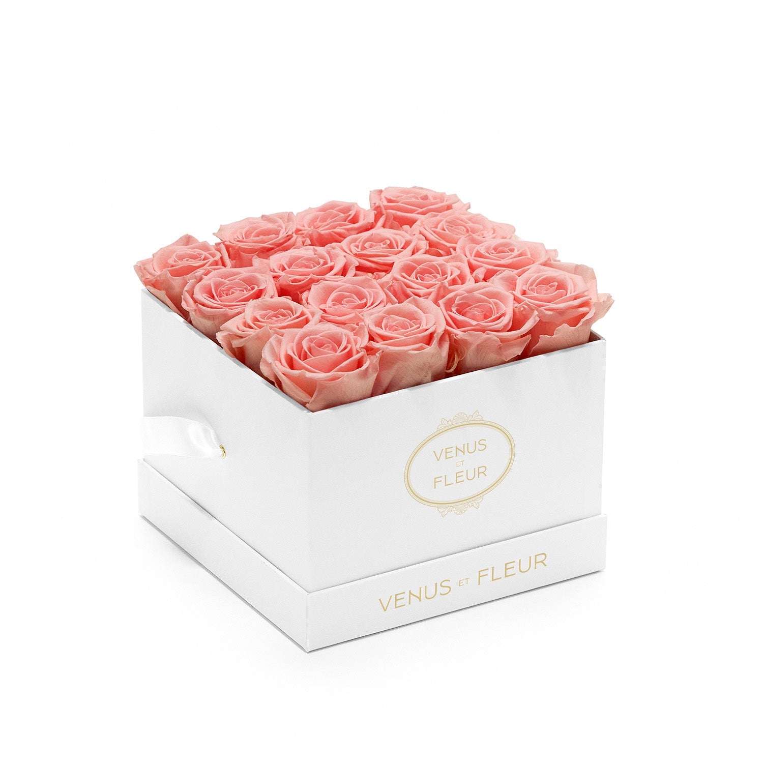 Venus ET Fleur boxed orange roses.set sold of 16