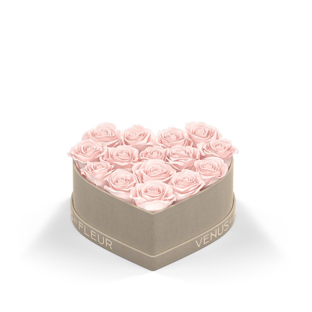 Small Heart, Cream Suede, Blush, 15-17 Eternity Roses, Venus et Fleur