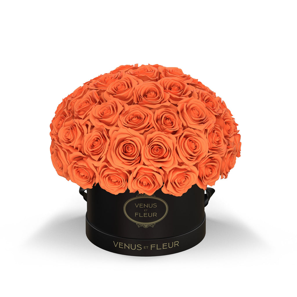 Small Le Plein, Black Classic, Papaya, 45-49 Eternity Roses, Venus et Fleur