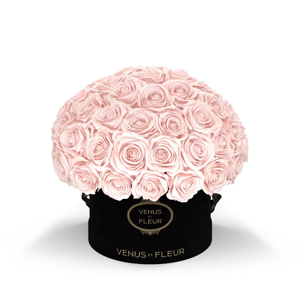 Small Le Plein, Black Suede, Blush, 45-49 Eternity Roses, Venus et Fleur