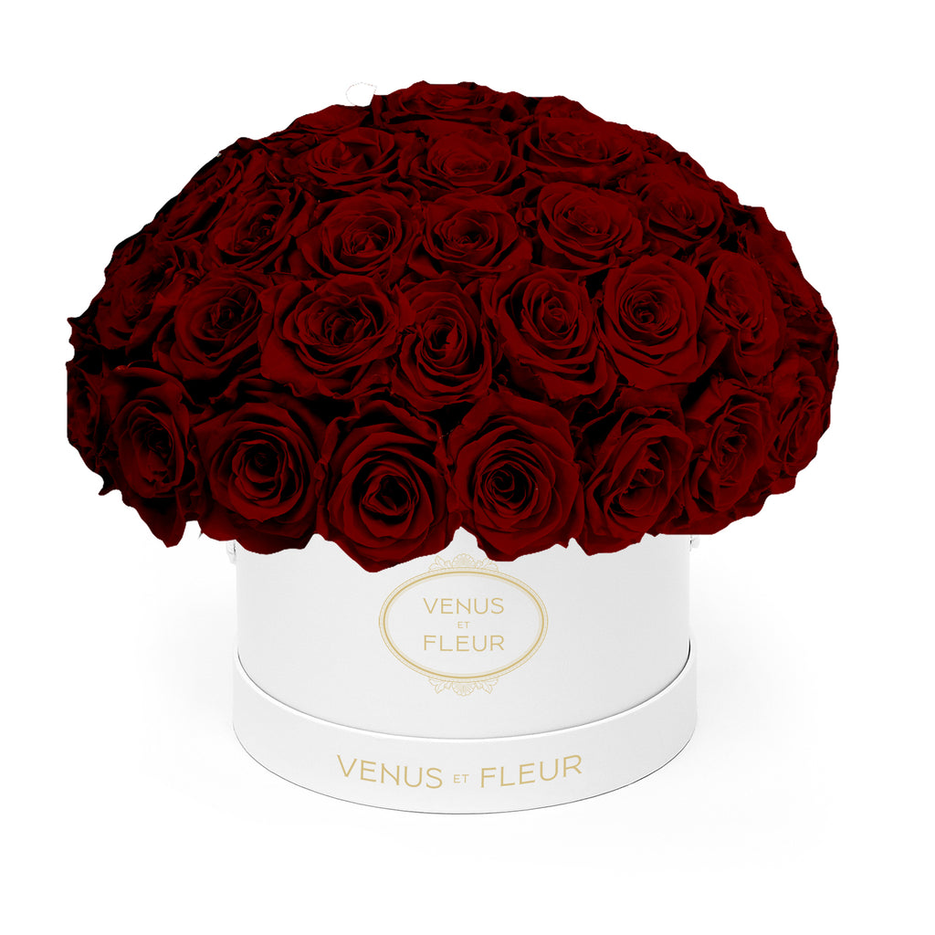 Small Le Plein, White Classic, Burgundy, 45-49 Eternity Roses, Venus et Fleur