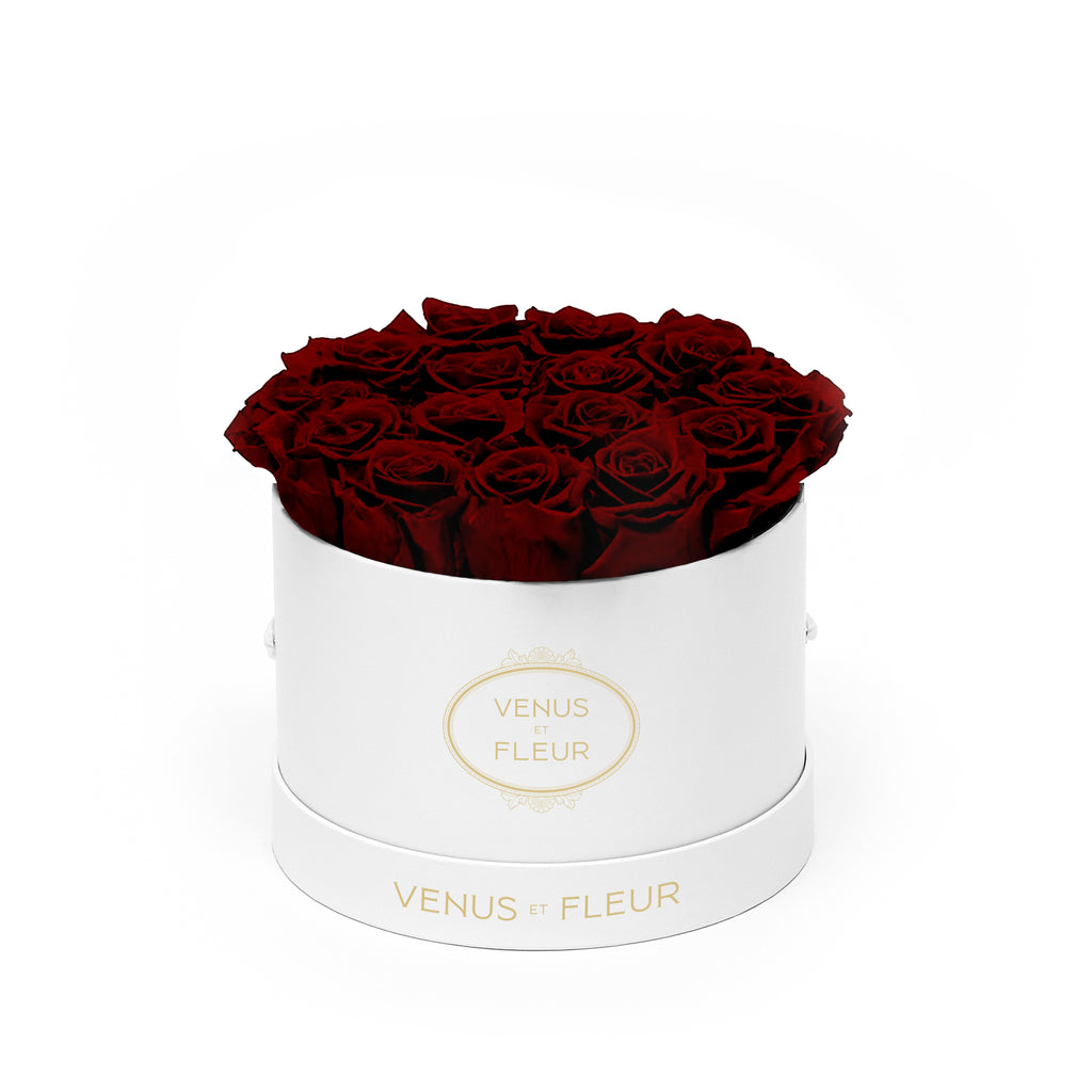 Small Round, White Classic, Burgundy, 13-15 Eternity Roses, Venus et Fleur