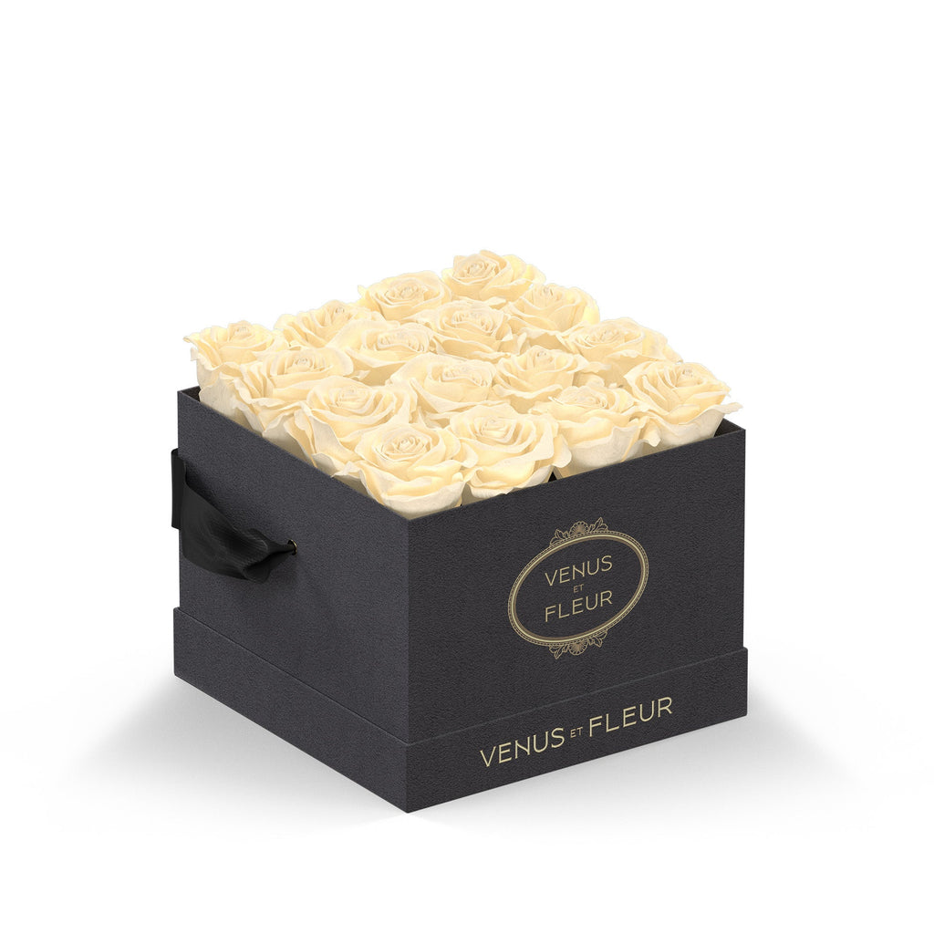 Small Square, Grey Suede, Pearl, 16 Eternity Roses, Venus et Fleur