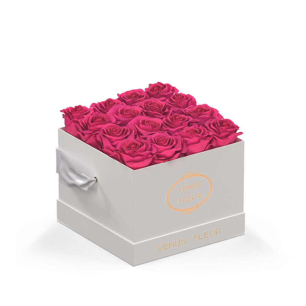 Small Square, White Classic, Hot Pink, 16 Eternity Roses, Venus et Fleur