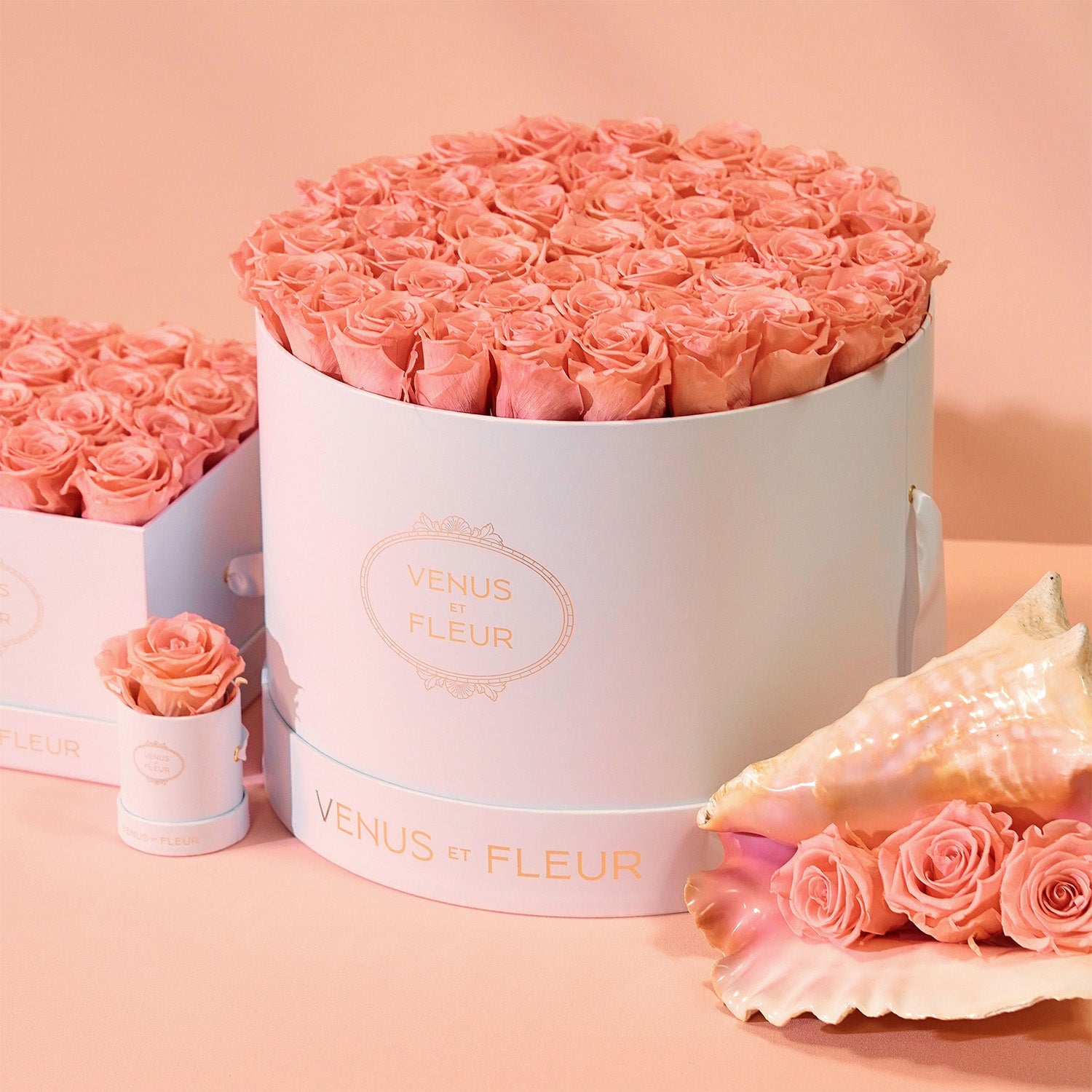 Dusty Rose: The New Pink Rose Color of Spring – Venus et Fleur