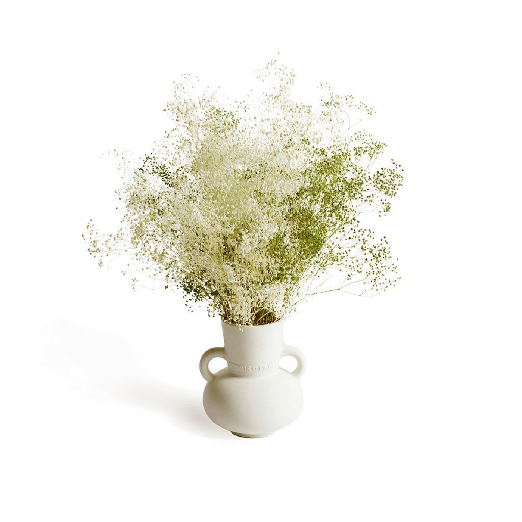 Traditionelle Porcelain Vase, Traditionelle, Velvet Sage, Eternity Baby's Breath, Venus et Fleur