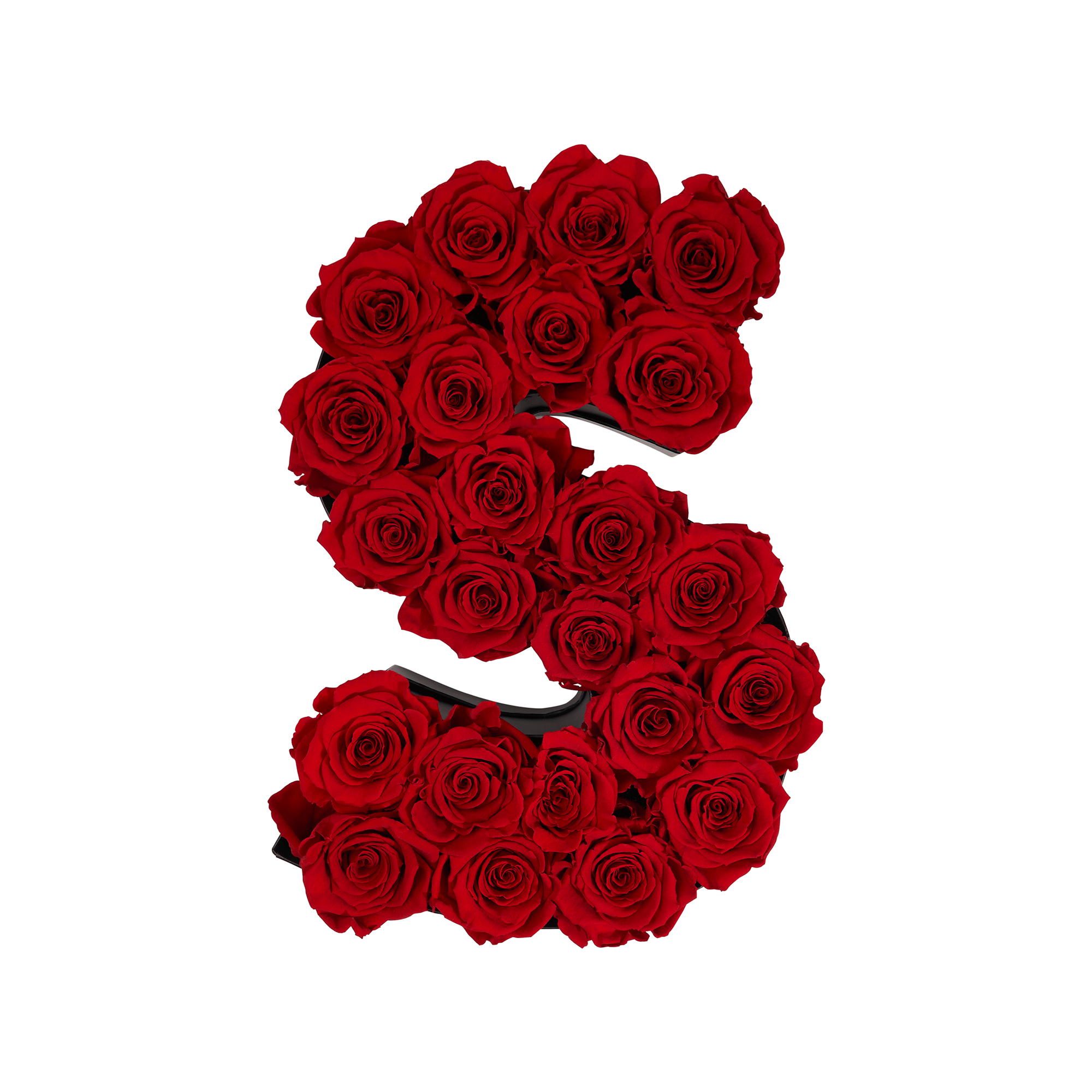 Le Grand Floral Letter S with Eternity Roses - Venus et Fleur