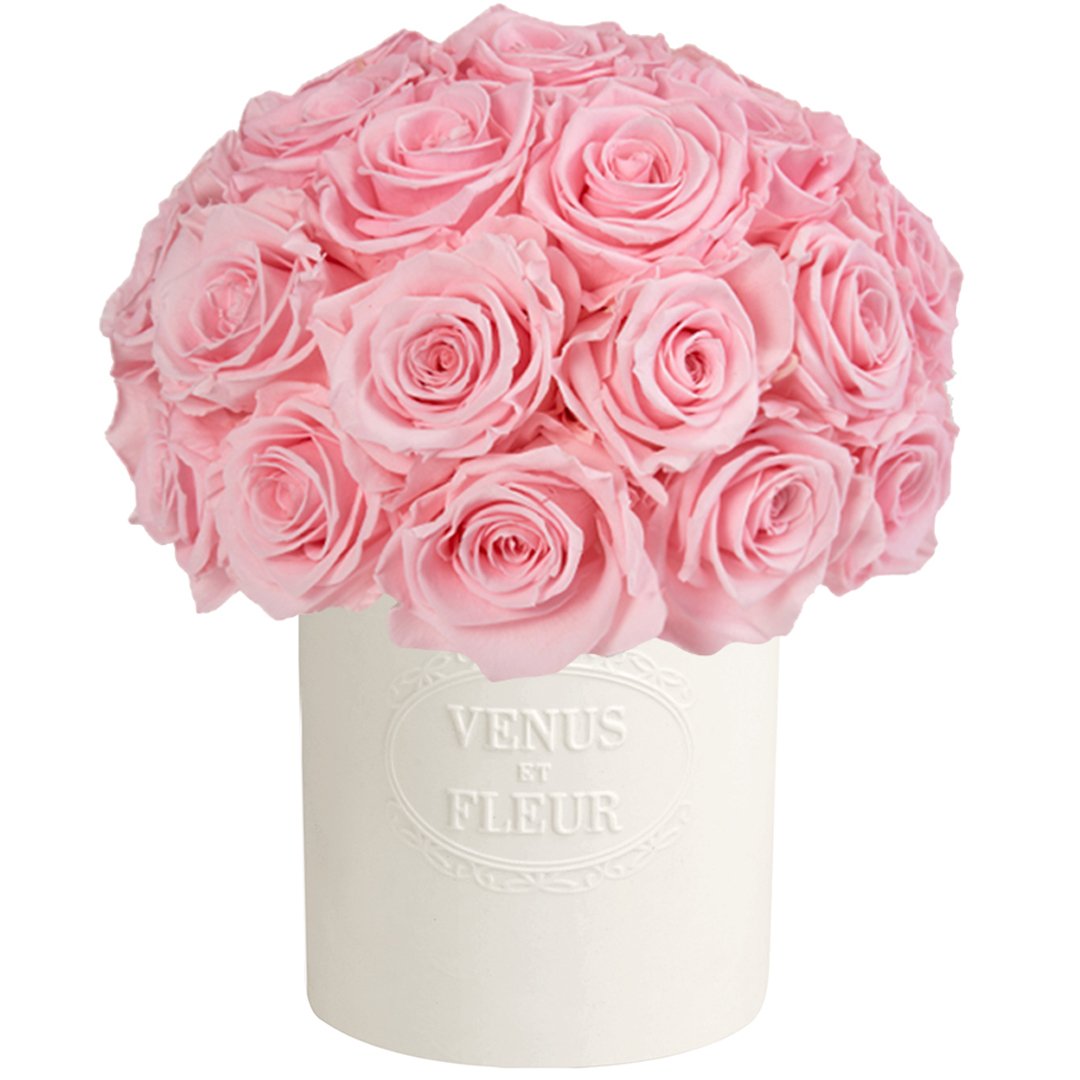 Venus Fleur buy