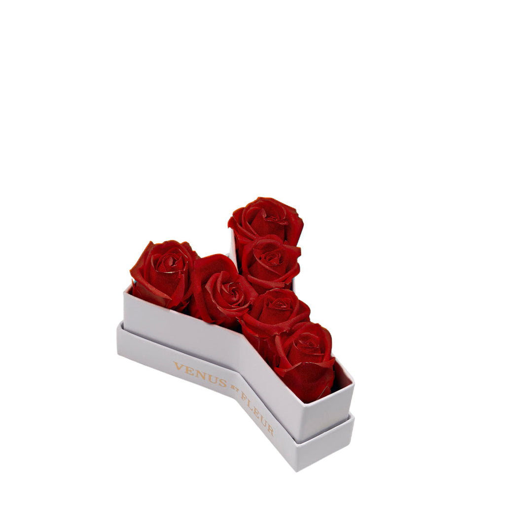 Le Mini Letter - Y, Y, White Classic, Red, Eternity Rose Letters, Venus et Fleur