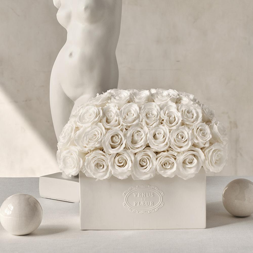 Porcelain Collection - Serene Vase with Eternity Roses – Venus et